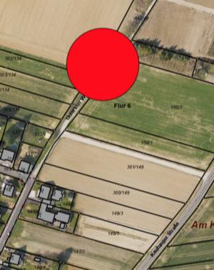 Lageplan des Apfelbaumes